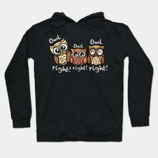 OWL RIGHT OWL RIGHT OWL RIGHT Hoodie